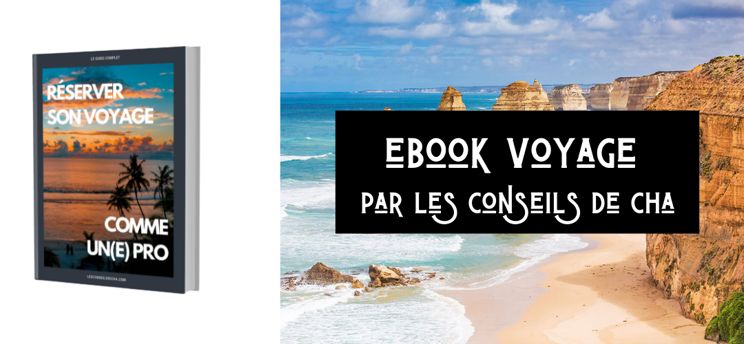 Article: EBOOK Voyager comme un(e) pro !