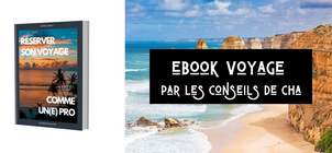 Article: EBOOK Voyager comme un(e) pro !